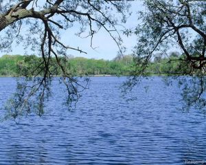 2629 Turtle Shores, Bloomfield Hills, MI 48302