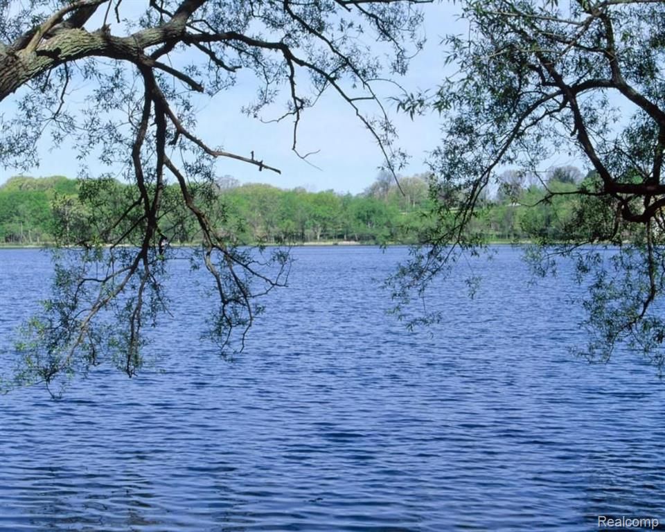 2629 Turtle Shores, Bloomfield Hills, MI 48302