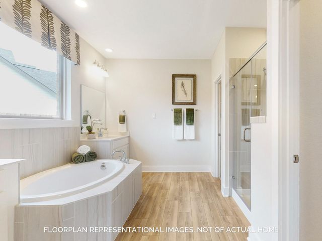 316 Boysenberry Drive, Montgomery, TX 77316