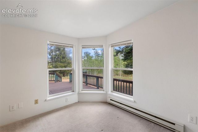 350 Brooks Lane, Woodland Park, CO 80863