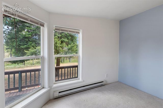 350 Brooks Lane, Woodland Park, CO 80863