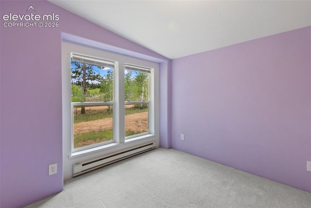 350 Brooks Lane, Woodland Park, CO 80863