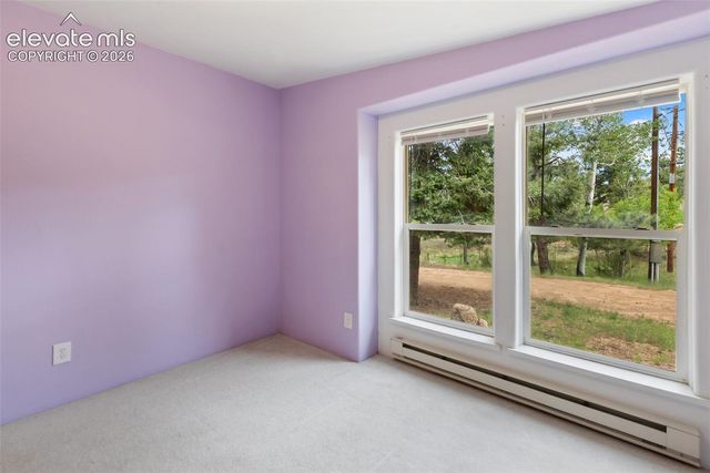 350 Brooks Lane, Woodland Park, CO 80863