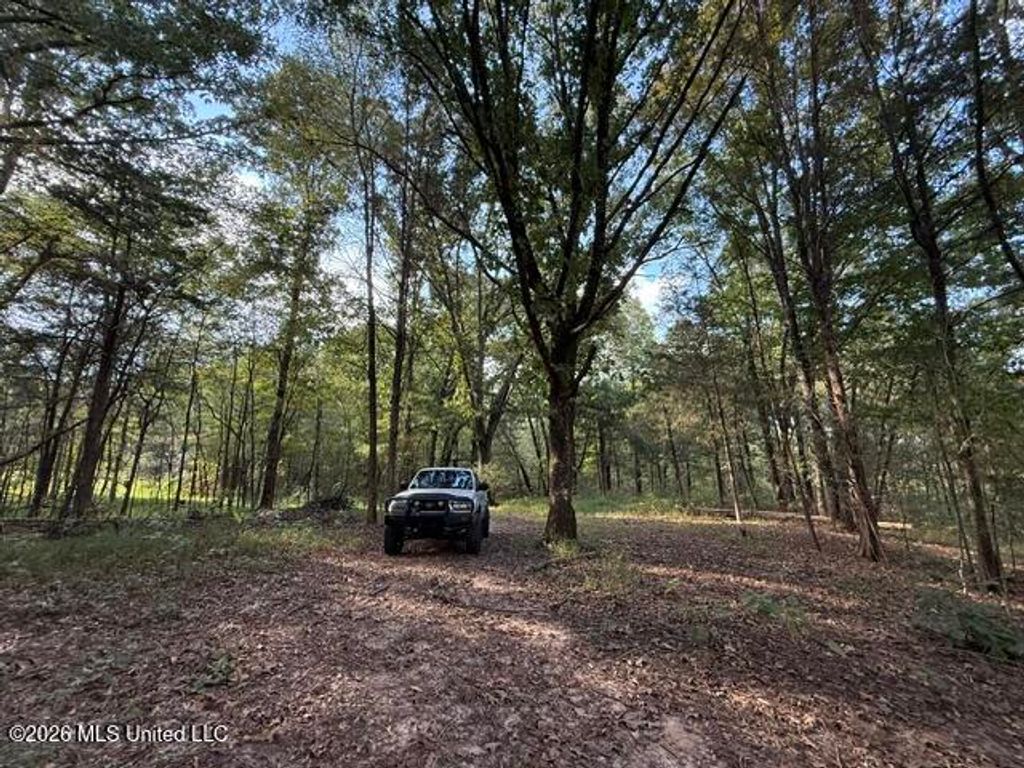 Wildcat Bottom Road, Red Banks, MS 38661 — photo 5