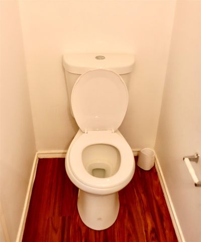 1319 Hollowood Lane, Missouri City, TX 77489