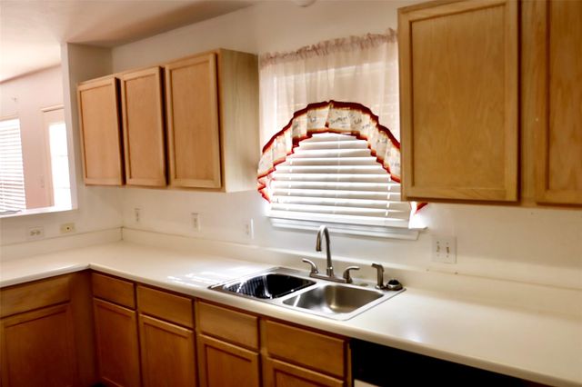 1319 Hollowood Lane, Missouri City, TX 77489