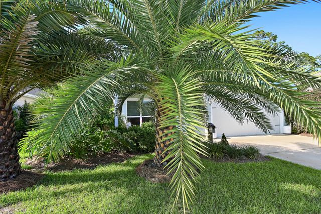 239 Southern Pnes Road, Santa Rosa Beach, FL 32459