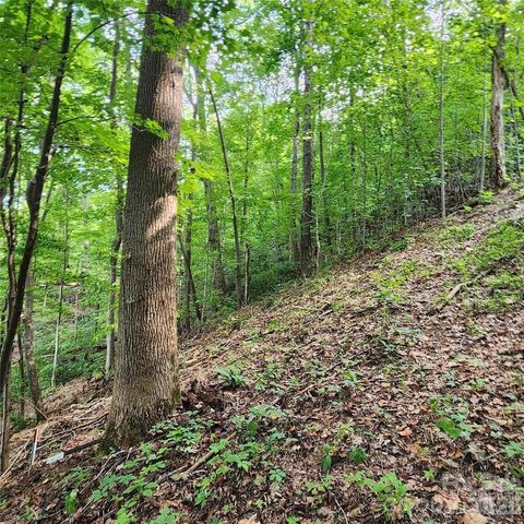 0 Switchback Road, Lake Lure, NC 28746
