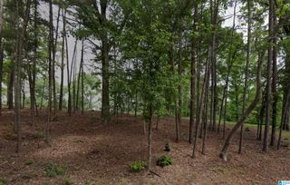 2215 SHIVER DRIVE, Bessemer, AL 35022