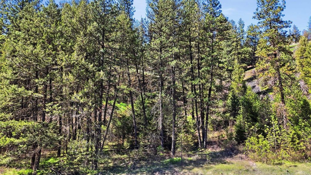 NKA- Hawk Creek Ranches, Davenport, WA 99122 photo 23