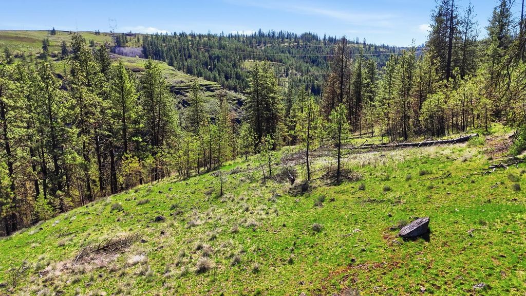 NKA- Hawk Creek Ranches, Davenport, WA 99122 photo 6