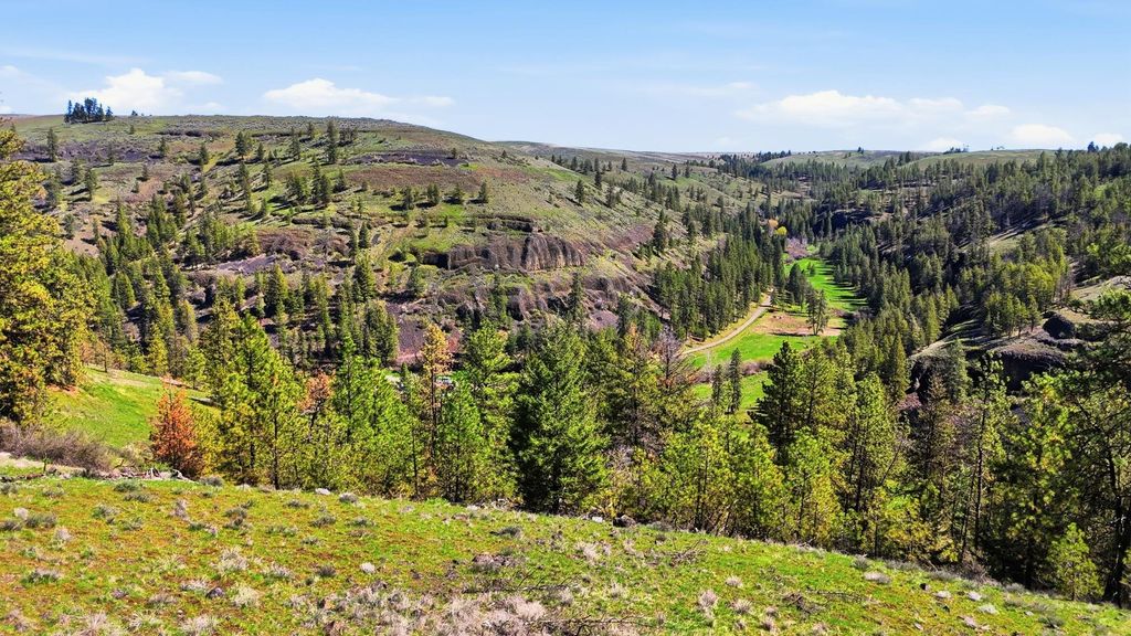 NKA- Hawk Creek Ranches, Davenport, WA 99122 photo 7