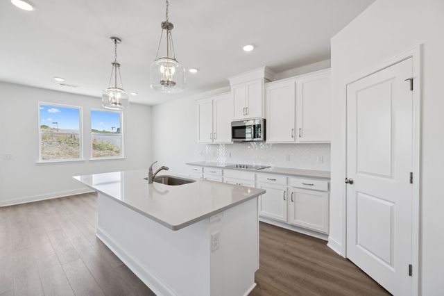 149 Emeline Way, Mount Juliet, TN 37122