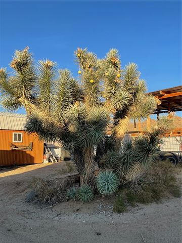 11328 S Kinard Road, Yucca, AZ 86438