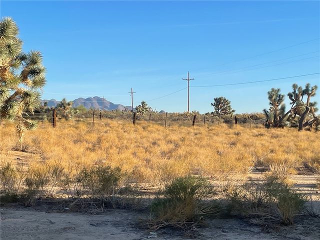 11328 S Kinard Road, Yucca, AZ 86438