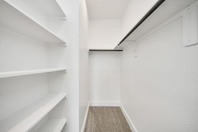 219 Orchard Laurel Drive, Alvin, TX 77511