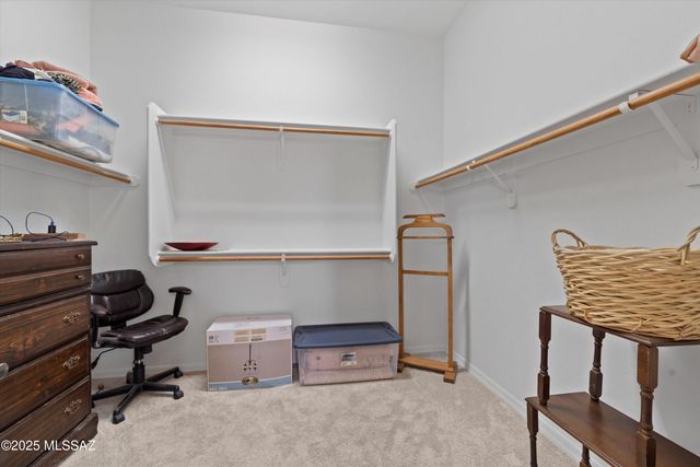 13879 N Big Wash Overlook Place Place, Oro Valley, AZ 85739