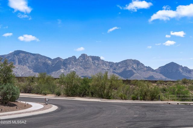 13879 N Big Wash Overlook Place Place, Oro Valley, AZ 85739