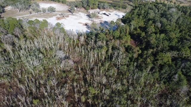 LAKE YALE ROAD, Umatilla, FL 32784