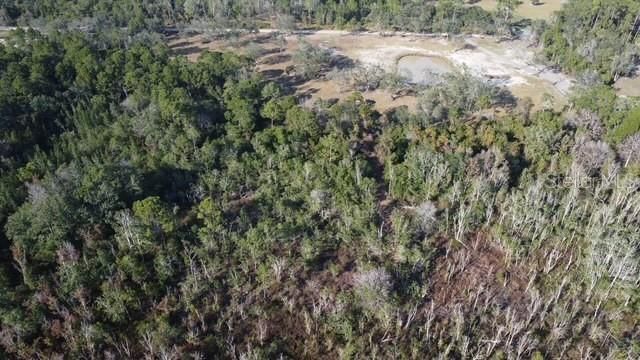 LAKE YALE ROAD, Umatilla, FL 32784