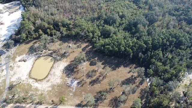 LAKE YALE ROAD, Umatilla, FL 32784