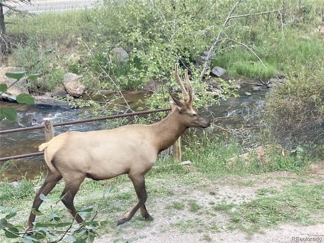 27154 Highway 74, Evergreen, CO 80439