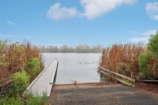 11866 CAMDEN PARK DRIVE, Windermere, FL 34786