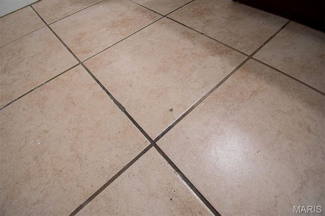 689 BOCA RATON Drive B, St Peters, MO 63376