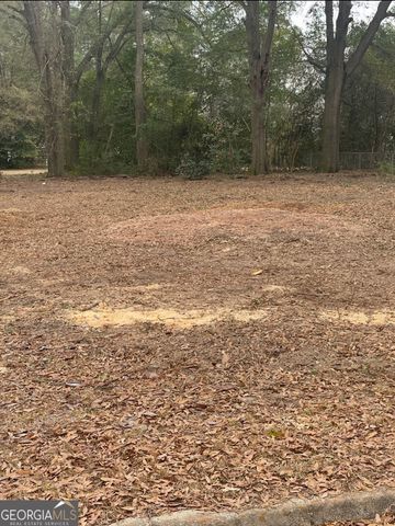 0 Lakeshore Drive, Montezuma, GA 31063