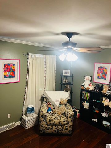 119 Nickell Heights Rd, Paducah, KY 42003