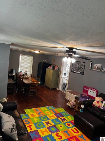119 Nickell Heights Rd, Paducah, KY 42003