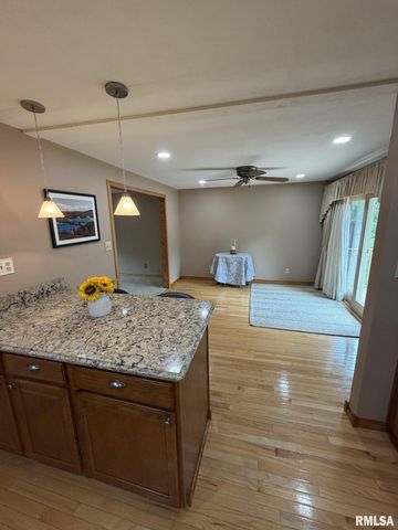412 BAYSIDE Drive, Germantown Hills, IL 61548
