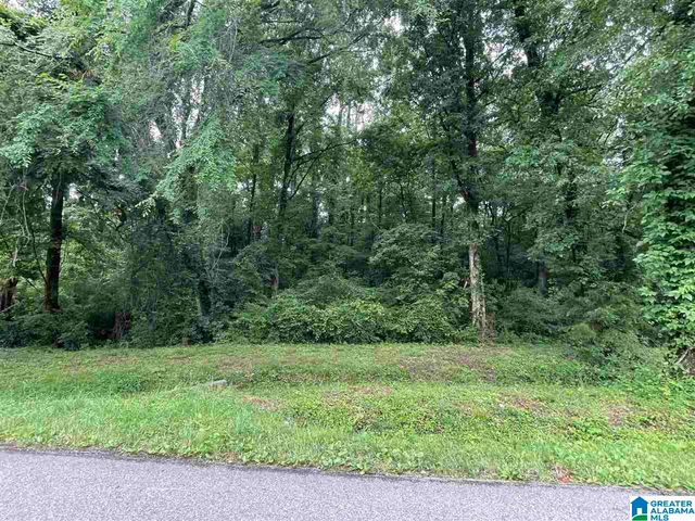 0 HIGHWAY 31, Calera, AL 35040