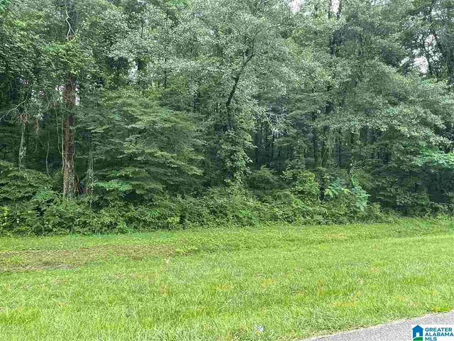 0 HIGHWAY 31, Calera, AL 35040