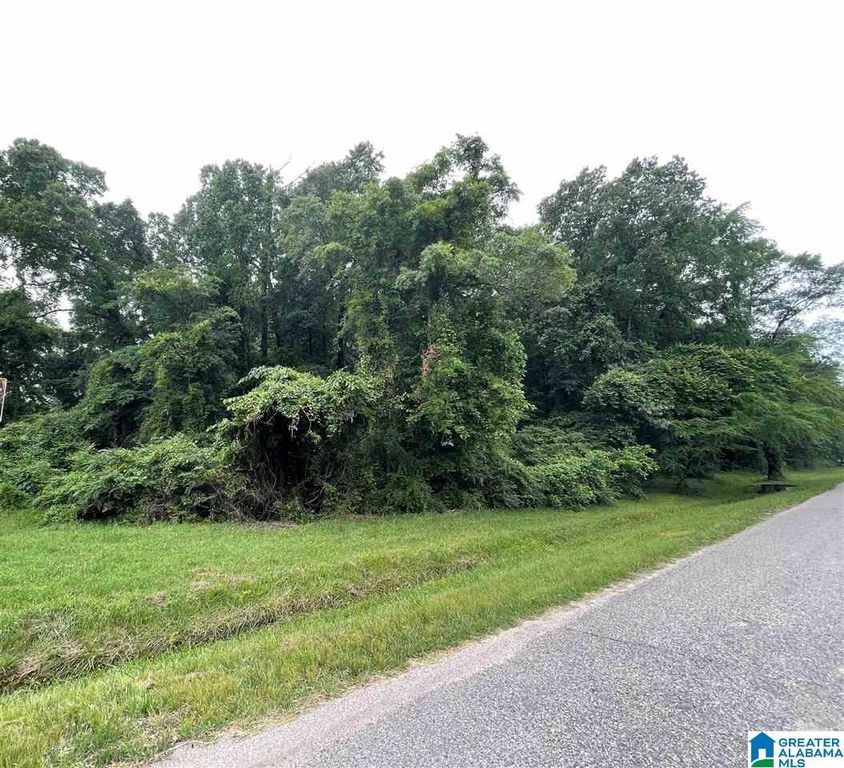 0 HIGHWAY 31, Calera, AL 35040