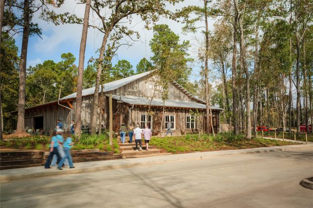 11935 Braided Mane Street, Montgomery, TX 77316