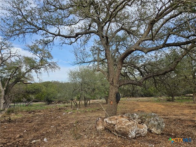 206 Falling Hills, New Braunfels, TX 78132