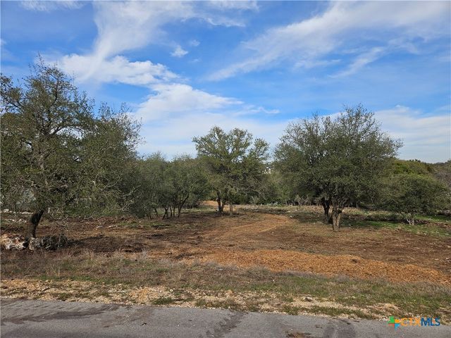 206 Falling Hills, New Braunfels, TX 78132