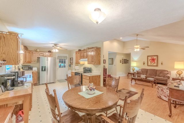 163 Shady Ln, Hohenwald, TN 38462