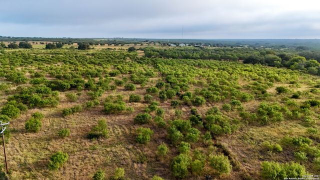 TRACT 2 Hwy 173, Devine, TX 78016