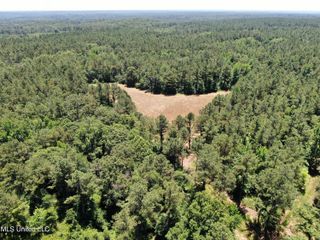 2100 Wilkins Chapel Road, Holly Springs, MS 38635