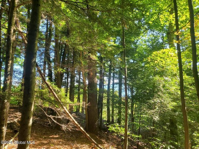 L10.4 Lake Winds Road, Bolton, NY 12824