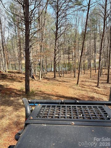 2289 Castle Peak Mountain Mountain 133, Connelly Springs, NC 28612