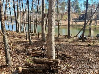 2289 Castle Peak Mountain Mountain 133, Connelly Springs, NC 28612