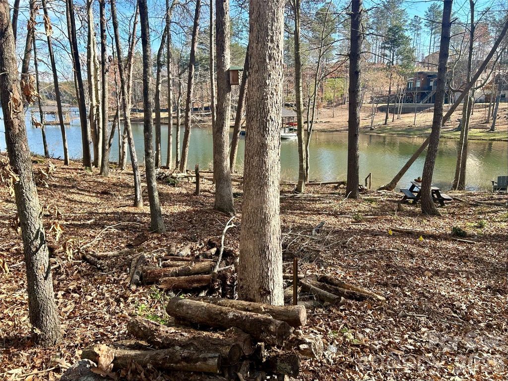 2289 Castle Peak Mountain Mountain 133, Connelly Springs, NC 28612
