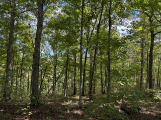 Lot 84,85,86 Sandstone Point Trail, Monticello, KY 42633