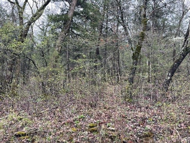 95 Wild Turkey Drive, Holiday Island, AR 72631