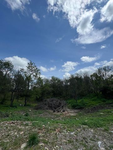 Lot - East Drive, Danville, KY 40422