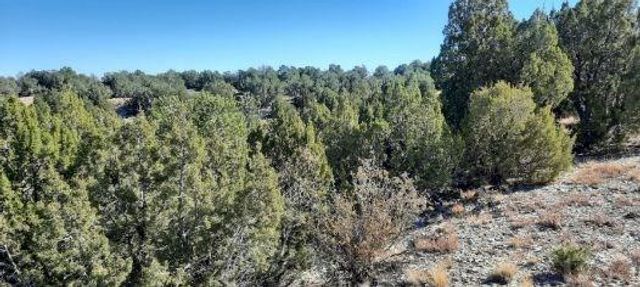 Lot 25 Cedarwood Station, Pueblo, CO 81069