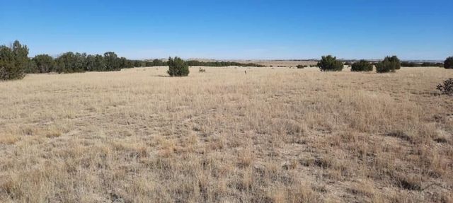 Lot 25 Cedarwood Station, Pueblo, CO 81069